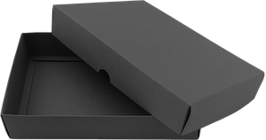 Caja (16,3x19,3x5 cm) 1271037